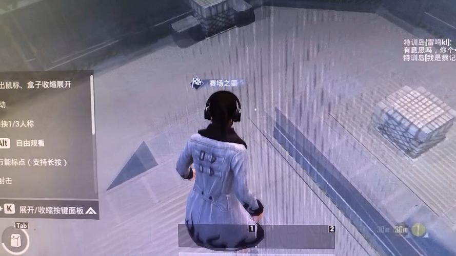 和平精英的外挂在哪下的