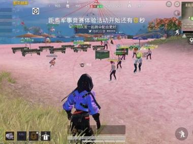 和平精英外挂视频手机版